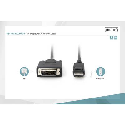 'DisplayPort-Adapterkabel' mit zwei Anschlüssen: links DVI, rechts DisplayPort. Zeigt, wie der Adapter zwei Gerätetypen verbindet.