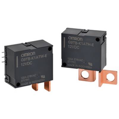 Zwei schwarze Omron-Relais mit Kupferanschlüssen, gekennzeichnet als 'G9TB-K1ATW-E 12VDC' und 'G9TB-K1ATH-E 12VDC', beide aus Indonesien.