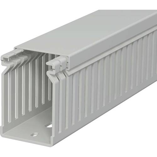 OBO Bettermann 6178934 Verdrahtungskanal Oberteil (L x B x H) 2000 x 40 x 60 mm 12 St. Grau