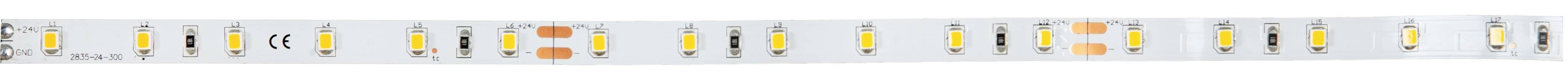 BRUMBERG BRUM LED-Strip BB-Flex IP00 24V 38202027 2700K 9,6W/m 894lm/m CRI80 5m