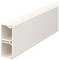 Ein einzelnes weißes Kunststoffkabelkanalprofil mit rechteckiger, länglicher Form und innenliegenden Trennstegen.