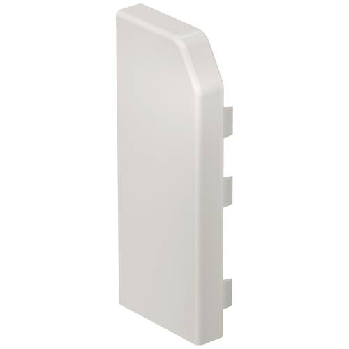 6132169 Endstück RD ESL40105 cws Weiß 10 St.