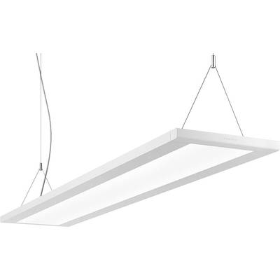 Hängende rechteckige LED-Büroleuchte mit schlankem, modernem Design. Sie ist an dünnen Kabeln befestigt und gleichmäßig ausgeleuchtet.