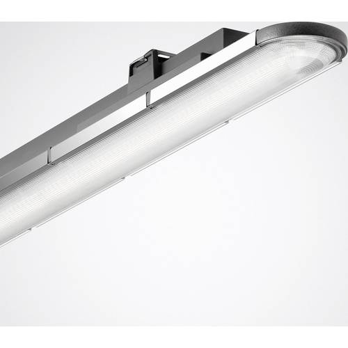 Trilux Nextrema G3 #7365751 LED-Feuchtraumleuchte LED 15 W Weiß Anthrazit