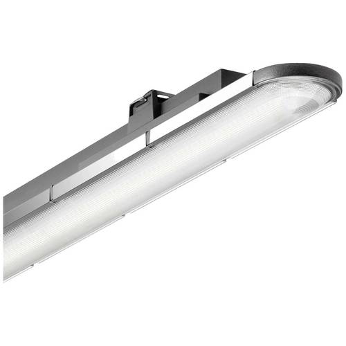 Trilux Nextrema G3 #7368751 LED-Feuchtraumleuchte LED 39 W Weiß Anthrazit