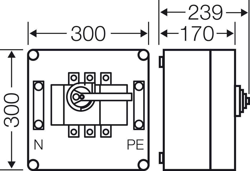 Abbildung eines Schalters mit den Maßen 300x300 mm in Draufsicht und Seitenansicht. Beschriftungen: N, PE, und Maße 239x170 mm.