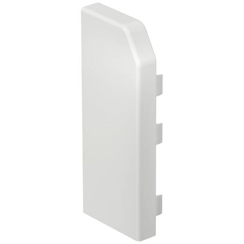 6132168 Endstück RD ESL40105 rws Weiß 10 St.