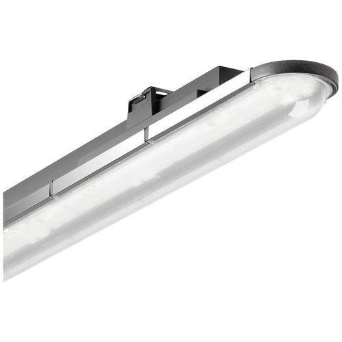 Trilux Nextrema G3 #7580240 LED-Feuchtraumleuchte LED 62 W Weiß Anthrazit