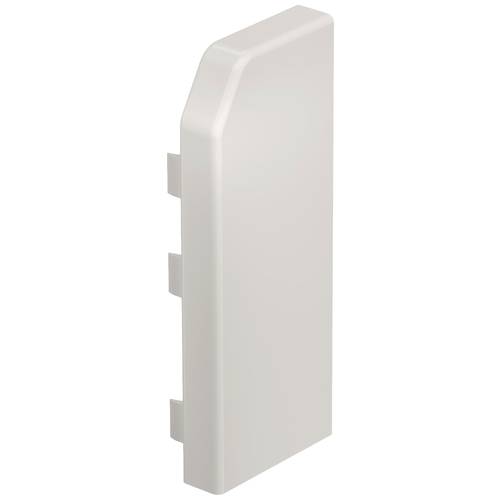 6132167 Endstück RD ESR40105 cws Weiß 10 St.