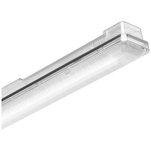 Trilux AragFHE 12 #7664240 LED-Feuchtraumleuchte LED 13 W Weiß Grau