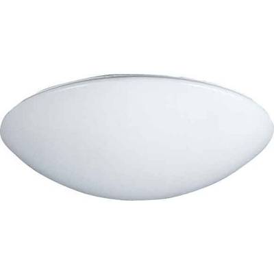 Eine einfache, runde Deckenleuchte mit weißem Schirm, angebracht an der Decke, sorgt für weiches, gleichmäßiges Licht im Raum.