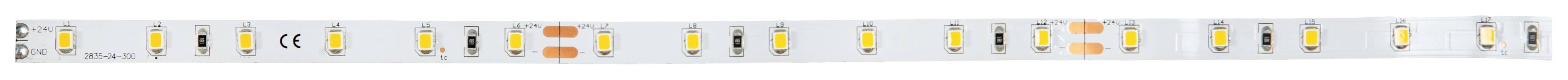 BRUMBERG BRUM LED-Strip BB-Flex IP00 24V 38201003 3000K 4,8W/m 490lm/m CRI80 5m