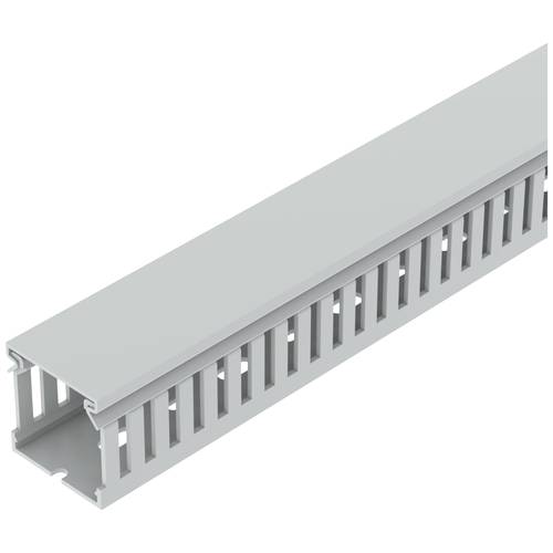 OBO Bettermann 6132546 Verdrahtungskanal Oberteil (L x B x H) 2000 x 40 x 40 mm 26 St. Grau