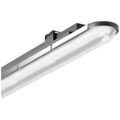 Trilux Nextrema G3 #7365251 LED-Feuchtraumleuchte LED 50 W Weiß Anthrazit