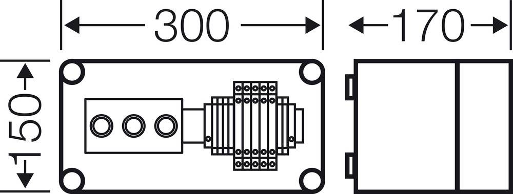 Technische Zeichnung eines rechteckigen Geräts mit den Maßen 300 x 150 x 170 mm. Zeigt Front- und Seitenansicht mit Details der Anschlüsse.