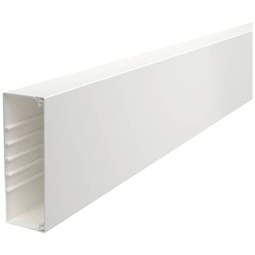 OBO Bettermann 6191258 Kabelkanal Kabelhalterung (L x B x H) 2000 x 170 x 60 mm 1 St. Weiß