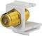 Ein goldfarbener Koaxial-Stecker in einem weißen Kunststoffgehäuse. Ideal zur Verbindung von Kabeln in elektronischen Geräten.