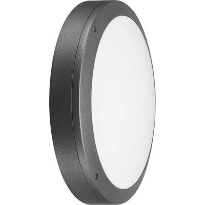 Runde schwarze LED-Leuchte, die nach vorne strahlt, geeignet für Wand- oder Deckenmontage. Ideal für moderne Innenraumbeleuchtung.