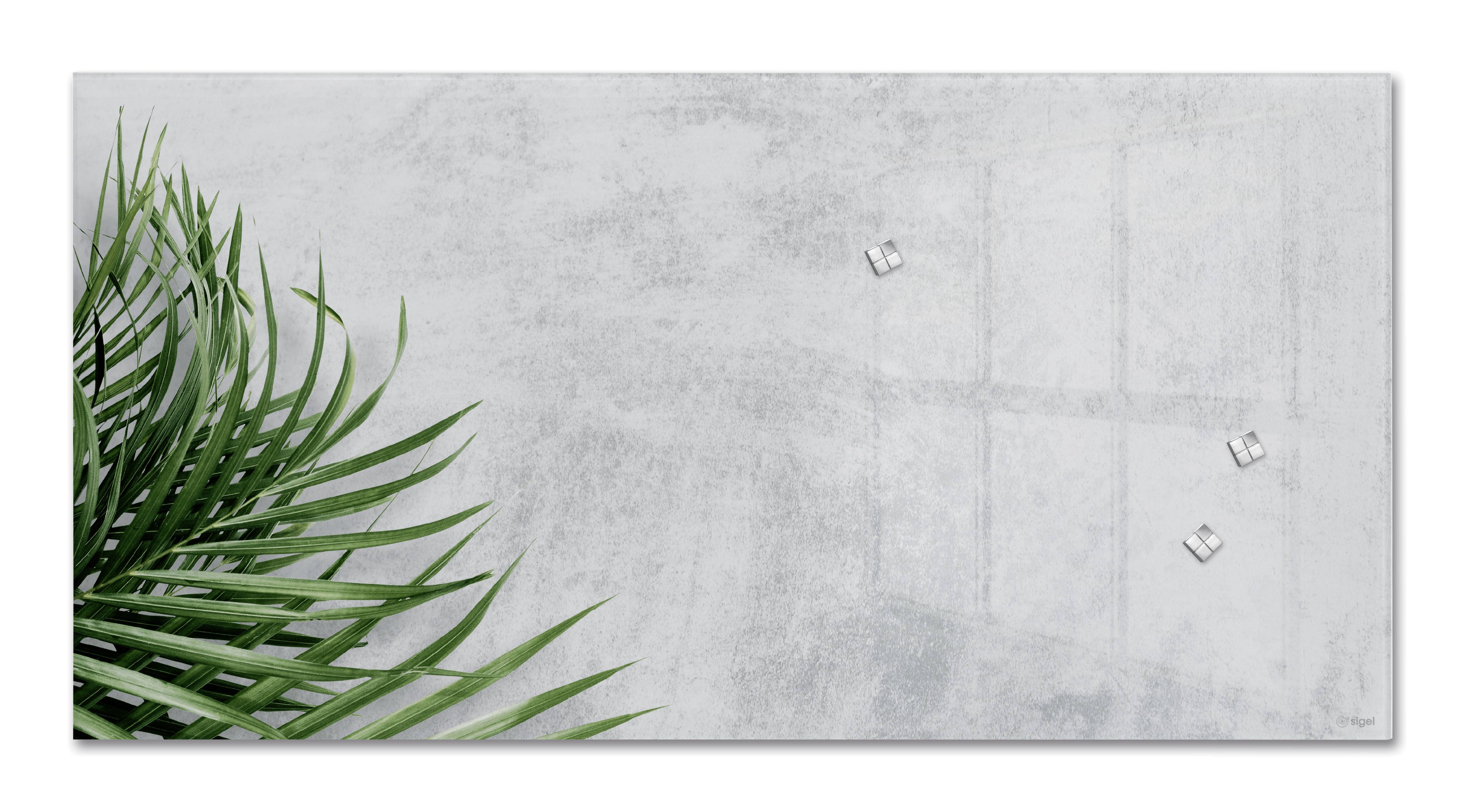 SIGEL Magnetic Glass Board Artverum - design Botanic - 91 x 46 cm -