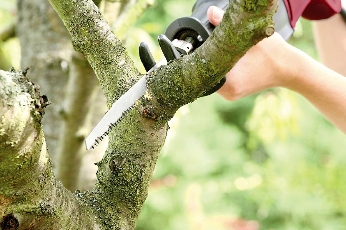 kwb 576400 Säbelsägeblätter, Holzbearbeitung, Hart-/Weichholz, Baumschnitt Sägeblatt-Länge 240 mm 2 St.-2