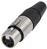 Rean AV RC5F XLR-Steckverbinder Buchse, gerade Polzahl: 5 1 St.