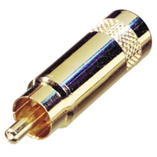 Rean AV NYS352AG Cinch-Steckverbinder Stecker 1 St.