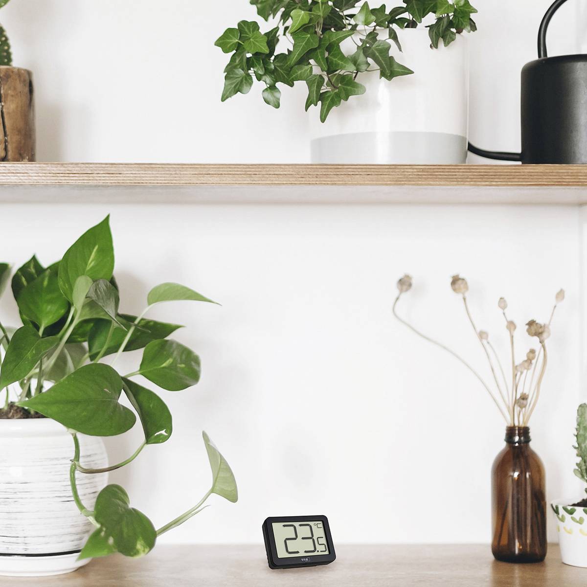 Mehrere Pflanzen stehen auf einem Holztisch; ein digitales Thermometer zeigt 23,5°C an.