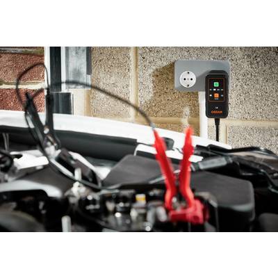 Ein Ladegerät wird an eine Steckdose angeschlossen, während Klemmen an einer Autobatterie befestigt sind, möglicherweise zum Aufladen.