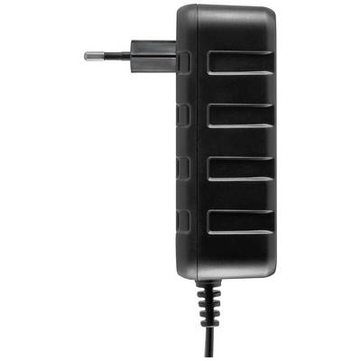 Schwarzes Netzteil mit Euro-Stecker, seitlich gezeigt.