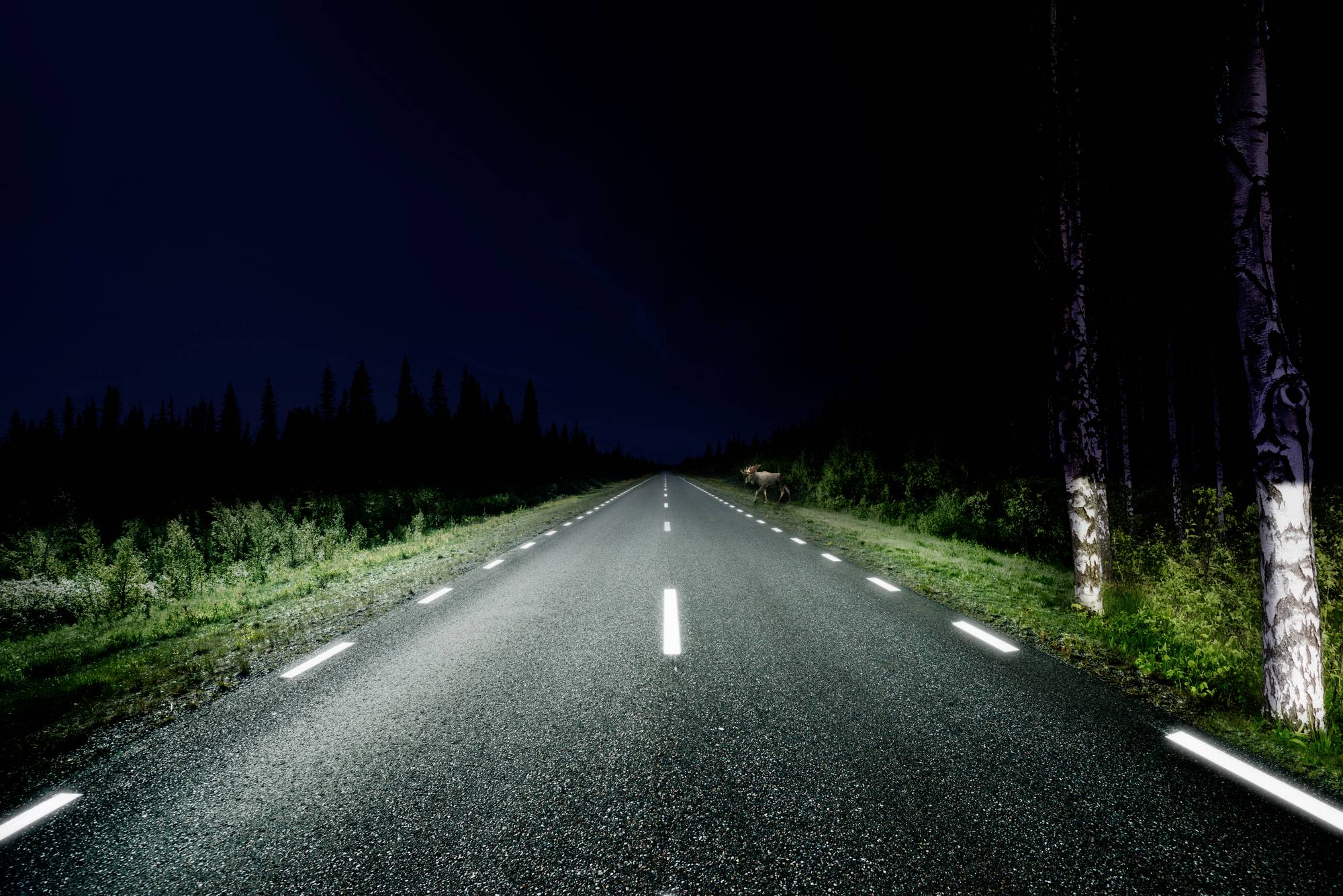 'Leere, beleuchtete Landstraße bei Nacht, die sich durch einen Wald erstreckt. Reflektierende Fahrbahnmarkierungen und Bäume sichtbar.'