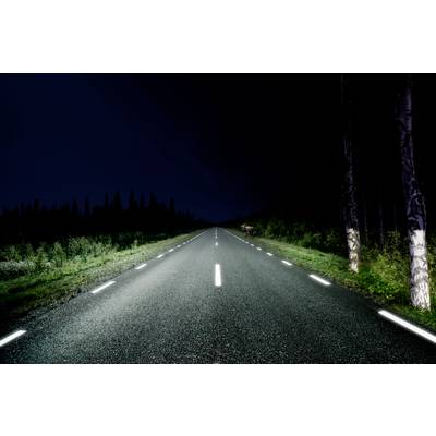 'Nachtaufnahme einer einsamen Landstraße, flankiert von Bäumen, die von Autoscheinwerfern beleuchtet werden. Die Straße verschwindet am Horizont.'