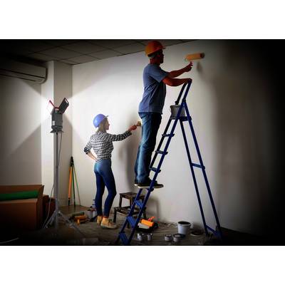 'Zwei Personen in Arbeitskleidung und Schutzhelmen streichen Wand mit Farbe. Eine Person steht auf einer Leiter, die andere hält Leiter fest.'