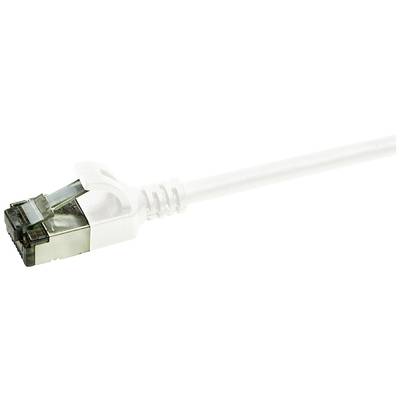Ein silbernes Ethernet-Kabel mit Transparenzeffekt auf einem weißen Hintergrund, zeigt einen RJ45-Stecker.