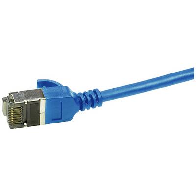 Ein blauer Ethernetkabelstecker zur Datenübertragung.