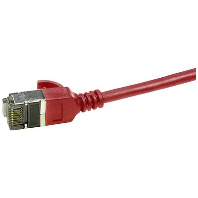 Rotes Netzwerkkabel mit RJ45-Stecker, Nahaufnahme.