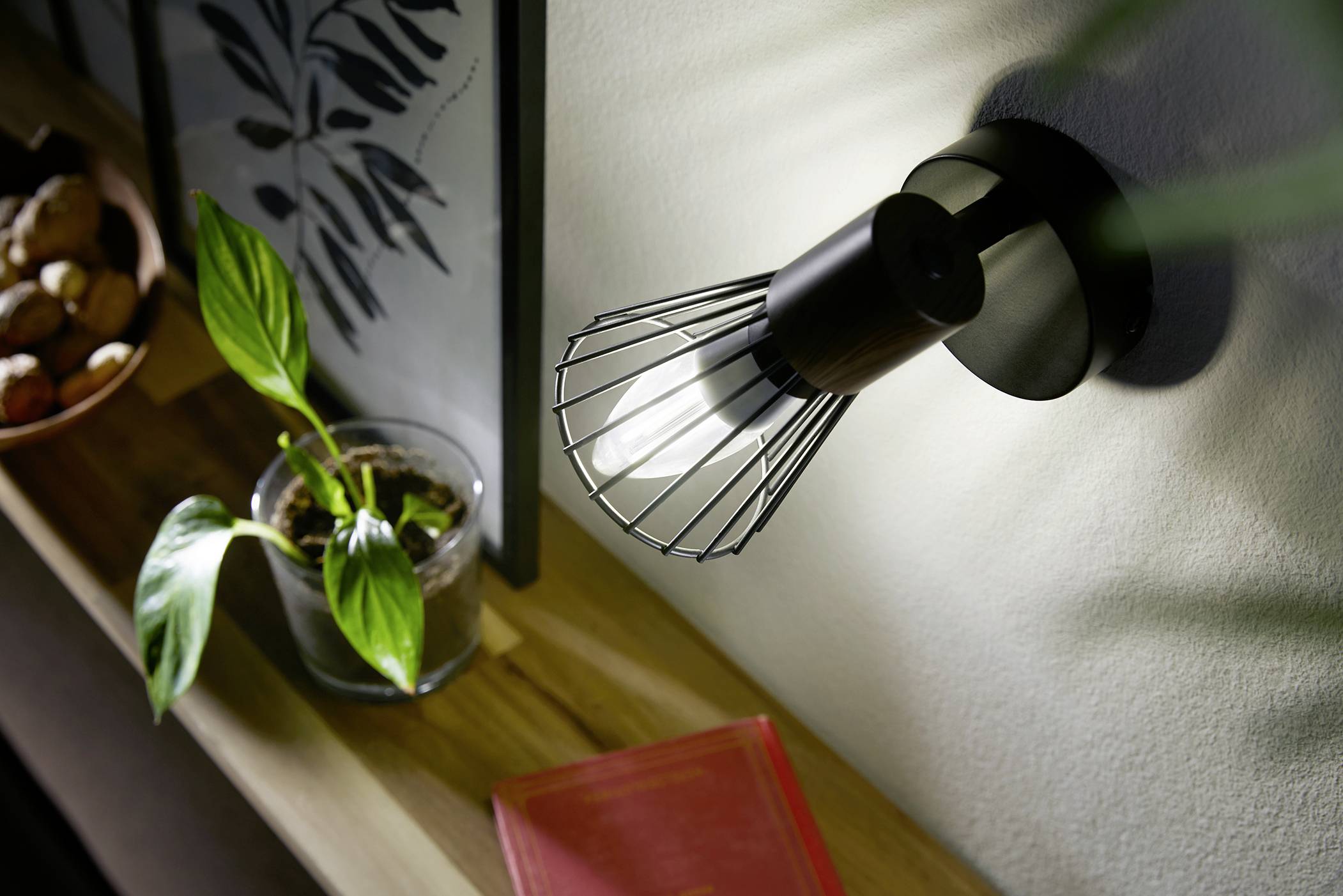 Eine schwarze Wandleuchte in einem modernen Design leuchtet auf ein Regal, das mit einer Pflanze im Glas und einem Buch dekoriert ist.