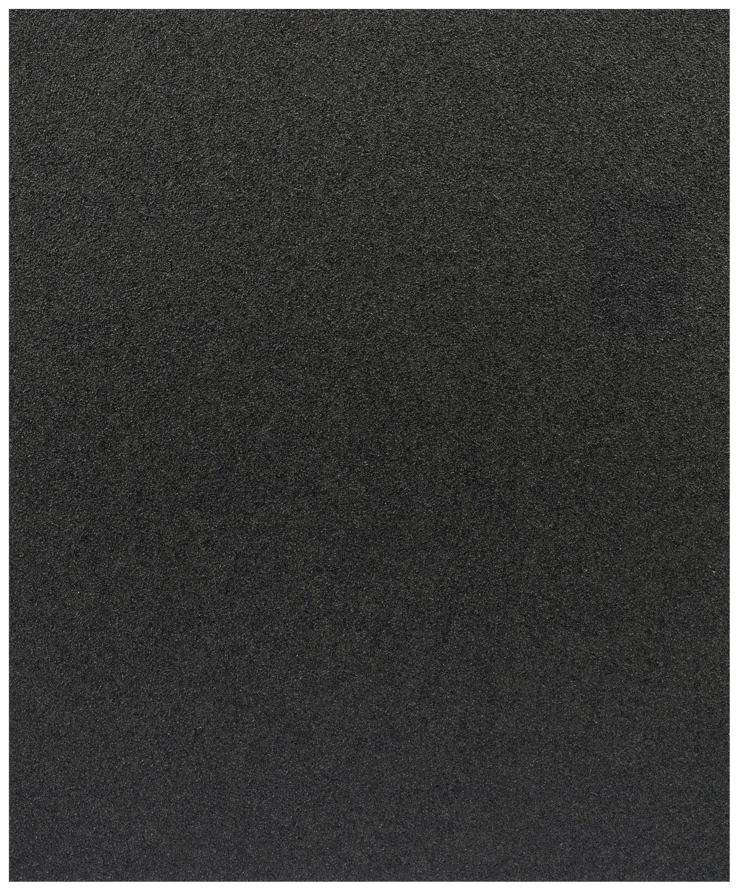 Bosch Accessories C355 2608608H62 Schleifblatt Körnung (num) 100 (B x H) 230 mm x 280 mm 1 St.