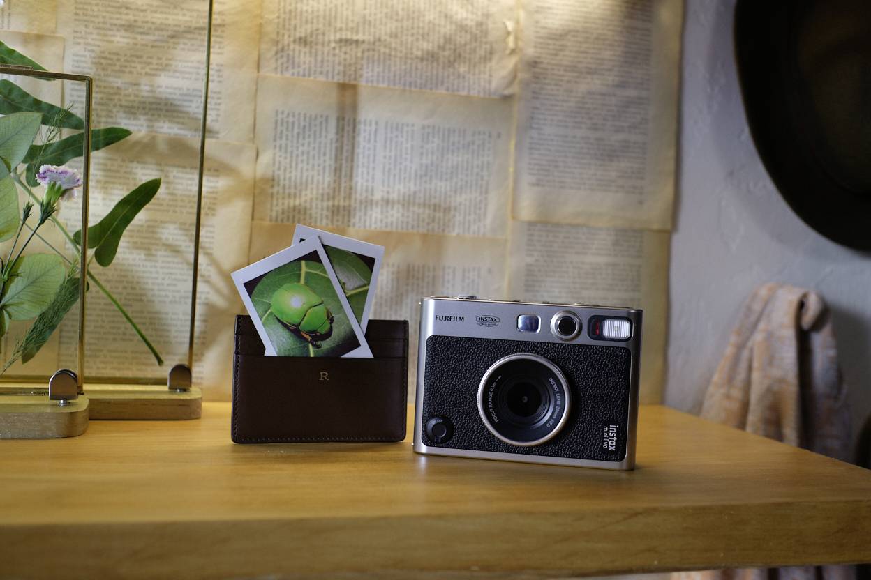 Analogkamera auf Holztisch neben Fotos von einer grünen Landschaft. Im Hintergrund ist ein gerahmtes Pflanzenbild zu sehen.