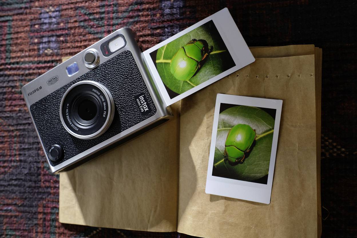 Kamera liegt auf einem aufgeschlagenen Buch, daneben zwei Polaroid-Fotos eines grünen Käfers auf einem Blatt.