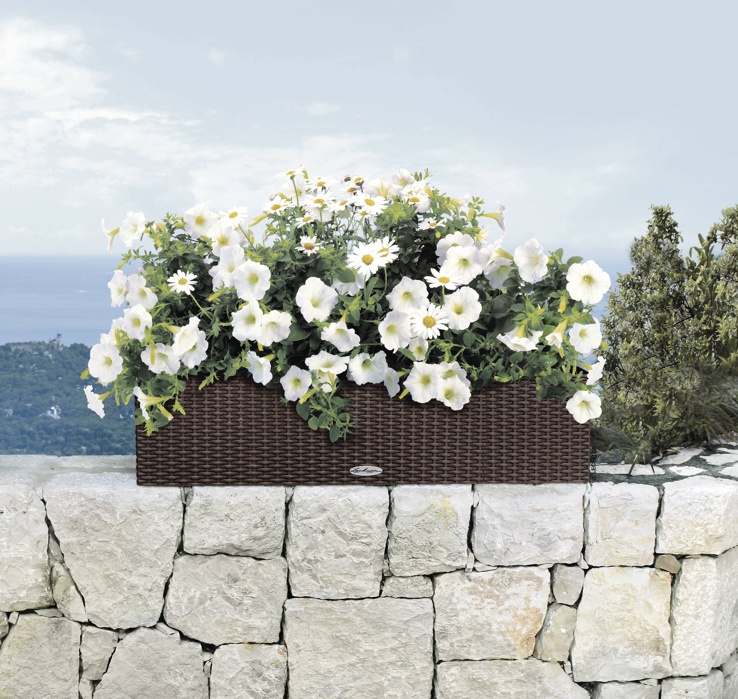 Lechuza Pflanzgefäß BALCONERA Cottage 80-4