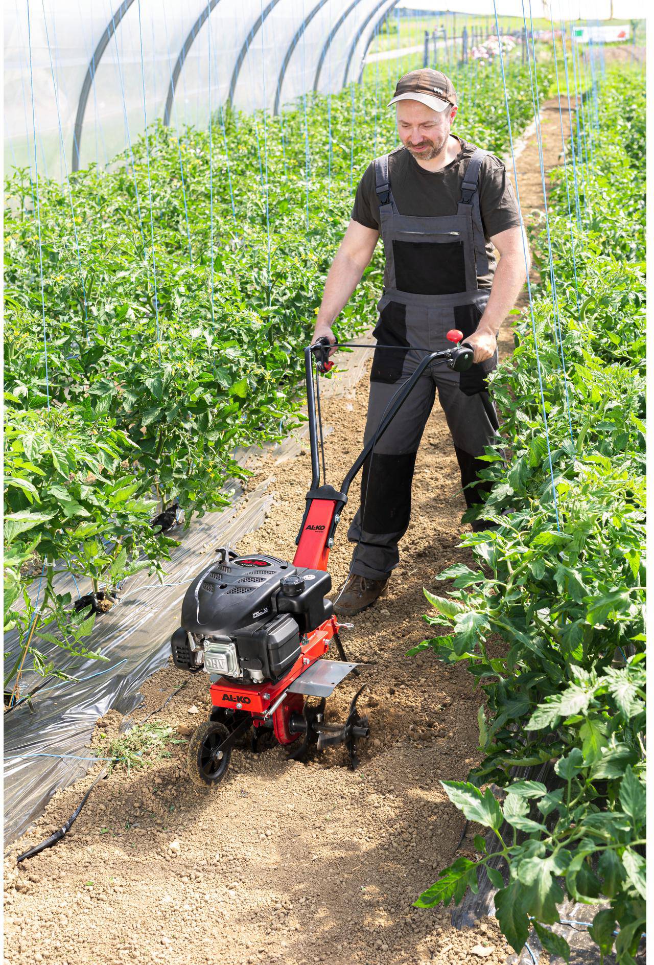Benzin-Motorhacke MH 360 EASY 2,2 kW / 139 ccm / 36 cm-1