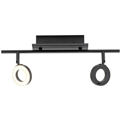 Paul Neuhaus 6781-13 LED-Deckenleuchte LED 12.8 W Anthrazit