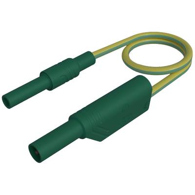 Grünes und gelbes Kabel mit zwei Steckverbindern an den Enden, möglicherweise für elektrische Anwendungen oder Sicherheitsprüfungen.