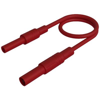 Rotes Kabel mit zwei gleichartigen Steckverbindungen, eine Schleife bildend.