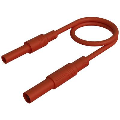 Rotes Testkabel mit zwei Steckern, die durch ein flexibles, spiralförmig gebogenes Kabel verbunden sind, auf weißem Hintergrund.