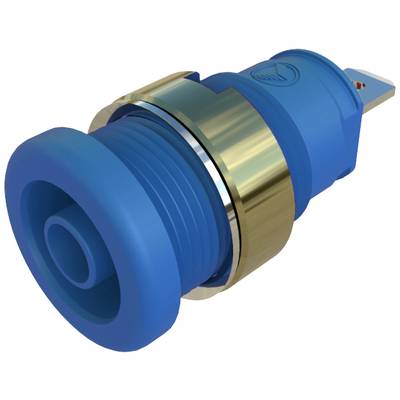 Ein blauer, runder Druckknopf mit goldenem Ring. Der Knopf ist für Ein- und Ausschalten von Geräten konzipiert.