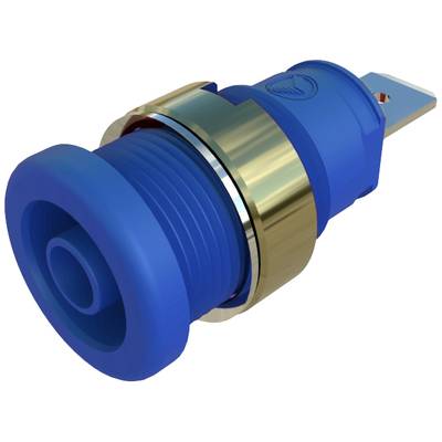 Blauer Druckschalter mit goldfarbenem Metallring und rotem Kontaktsockel. Geeignet für elektrische Schaltungen und Geräte.