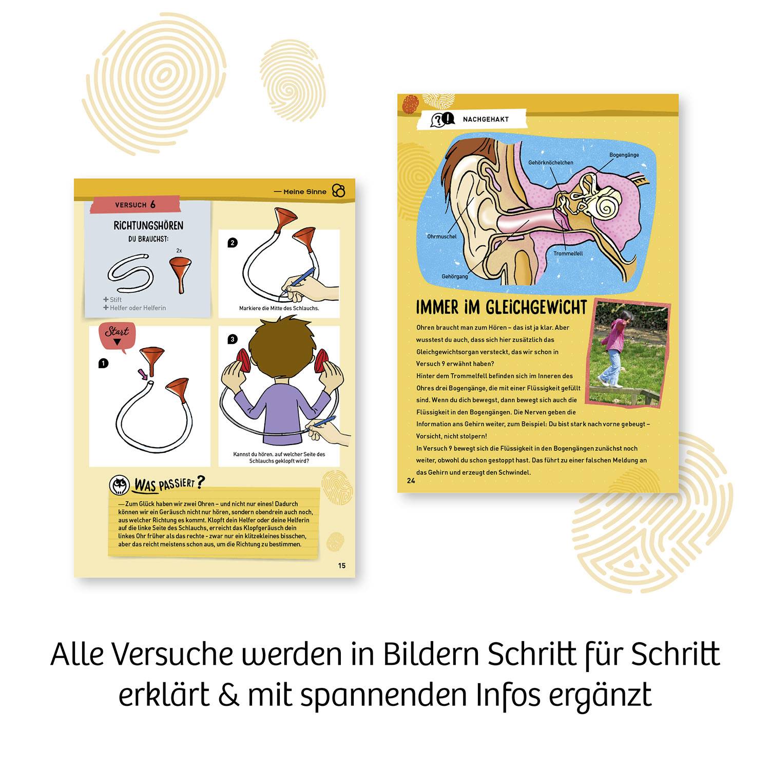 Kosmos Mein erster Experimentierkasten - Körper&Sinne, Experimentier-Set, 5 Jahr(e), Mehrfarbig-4