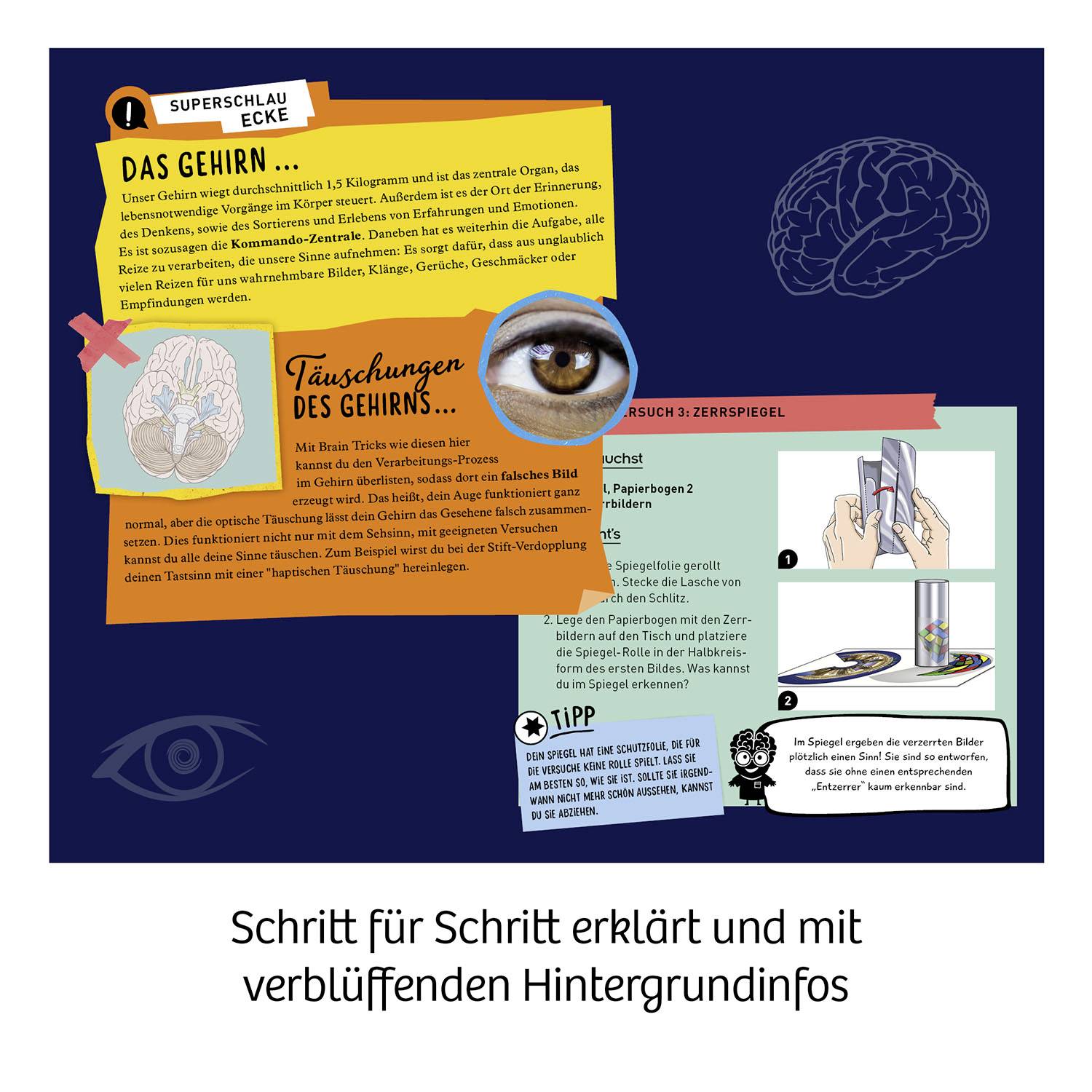 Kosmos Fun Science Brain Tricks, Experimentier-Set, Strom, 8 Jahr(e), Mehrfarbig-5