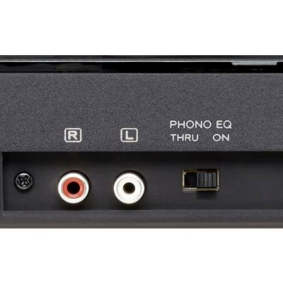 Phono-EQ-Anschlüsse auf einem Gerät, mit roten und weißen RCA-Buchsen für 'R' und 'L' Audio, Schalter für 'THRU' und 'ON' Optionen.